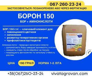 BoRon 150