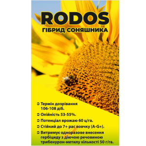 RODOS _