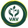 vav1122
