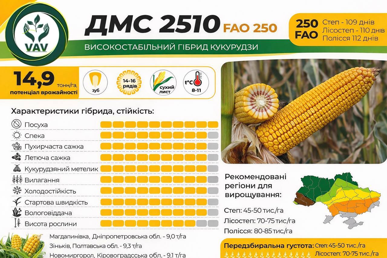 Насіння кукурудзи ДМС 2510 (ФАО 250) - Зображення 6