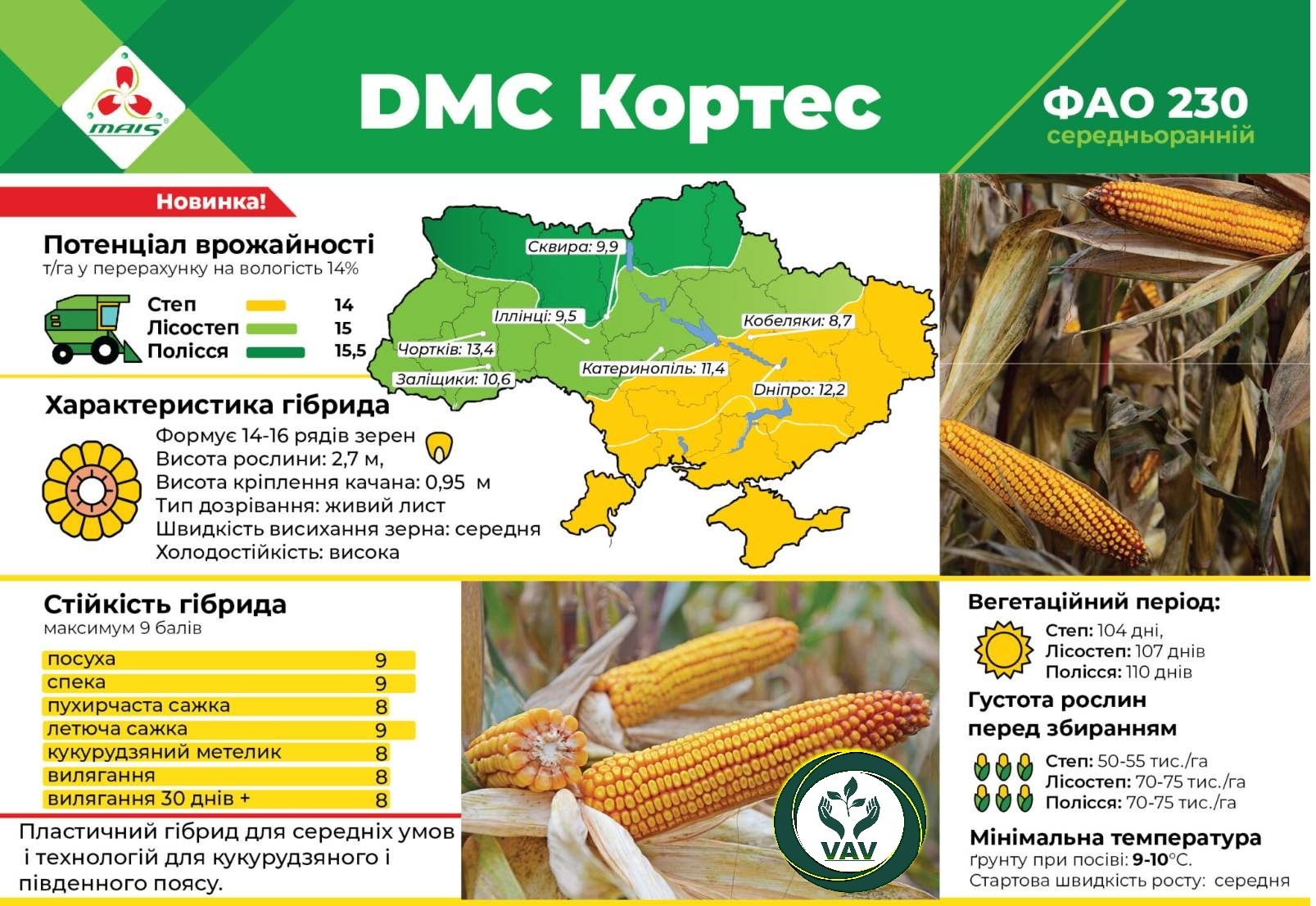 Kortec DMC