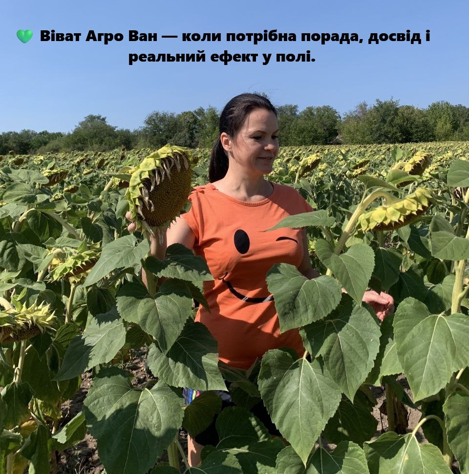 Віват Агро Ван Орнанофоска