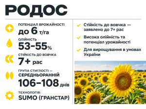 Соняшнику «РОДОС»